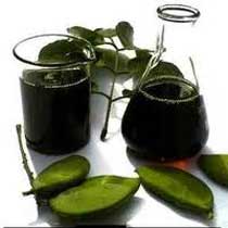 Manufacturers Exporters and Wholesale Suppliers of Karanja Oil Dhar Madhya Pradesh